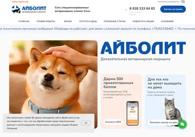 Снимок главной страницы aibolit-sochi.ru