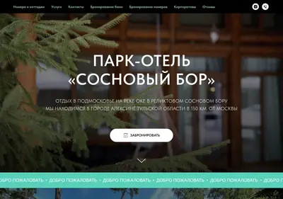 Снимок главной страницы sosnoviy-bor.su