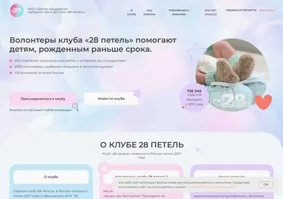 Снимок главной страницы 28petel.ru