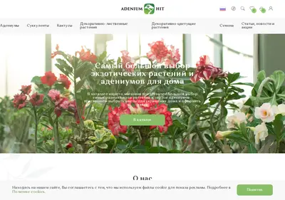 Снимок главной страницы adeniumhit.ru