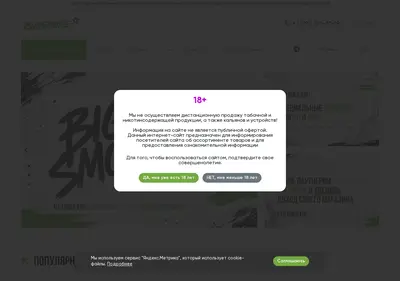 Снимок главной страницы bigsmokestore.ru