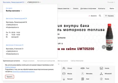 Снимок главной страницы autopolyus.ru