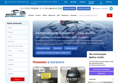 Снимок главной страницы buscentr24.ru