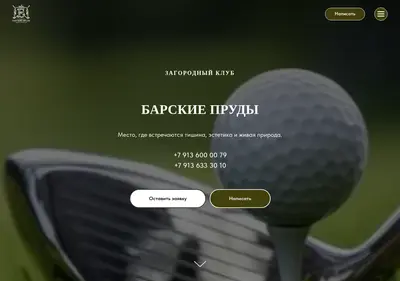 Снимок главной страницы barskieprudy.ru