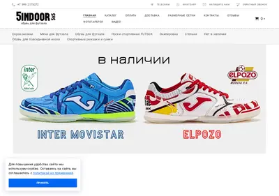 Снимок главной страницы 5indoor.ru