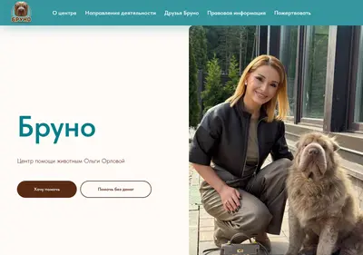 Снимок главной страницы brunohelp.ru