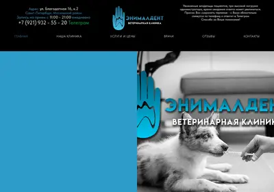 Снимок главной страницы animal-dent.ru