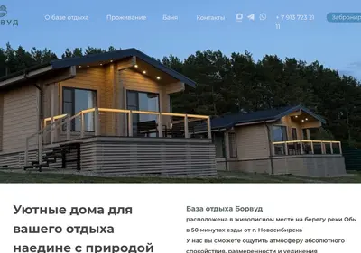Снимок главной страницы borwood.ru