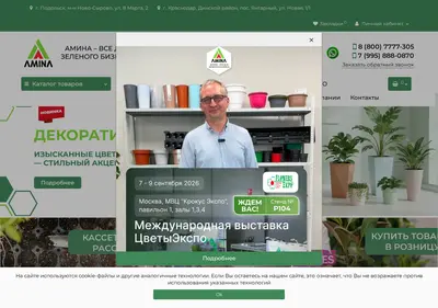 Снимок главной страницы aminaplast.ru