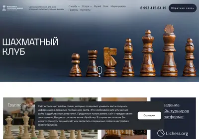 Снимок главной страницы chessmenzelinsk.ru