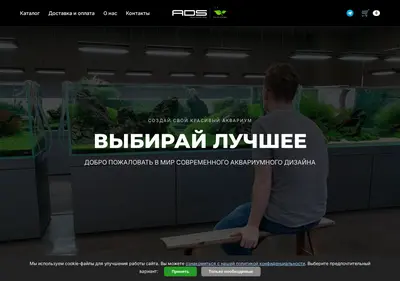 Снимок главной страницы ads-shop.ru