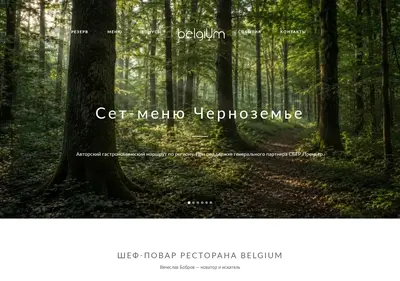 Снимок главной страницы belgiumrest.ru