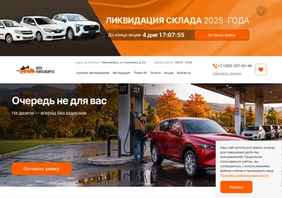 Снимок главной страницы avtoslonovosibirsk.ru