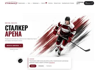 Снимок главной страницы arena-stalker.ru