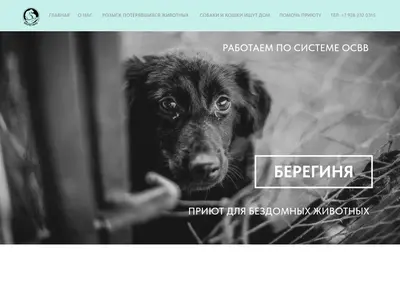 Снимок главной страницы bereginya-2024.ru