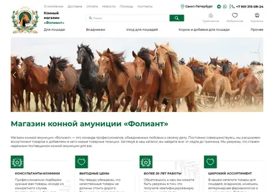 Снимок главной страницы foliant.su