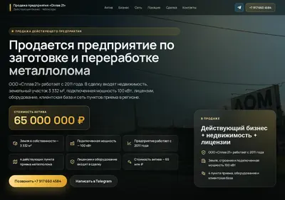 Снимок главной страницы biznes21.ru