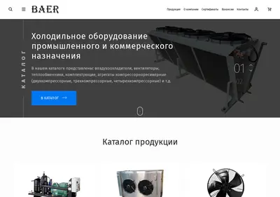 Снимок главной страницы baer.ru