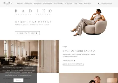 Снимок главной страницы badiko.ru