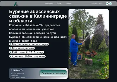 Снимок главной страницы abissinka39.ru