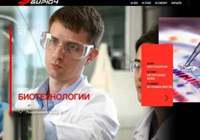 Снимок главной страницы biruch.ru