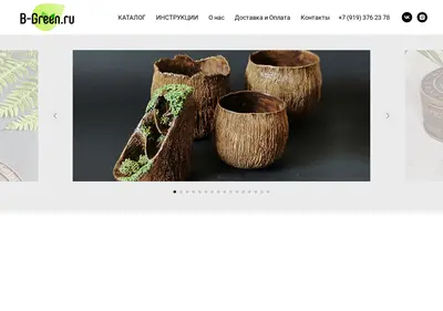 Снимок главной страницы b-green.ru