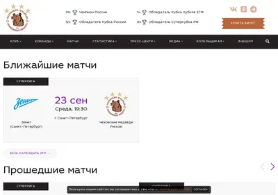 Снимок главной страницы ch-medvedi.ru