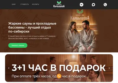 Снимок главной страницы banyanakarbisheva.ru