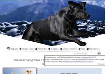 Снимок главной страницы breeds-info.ru