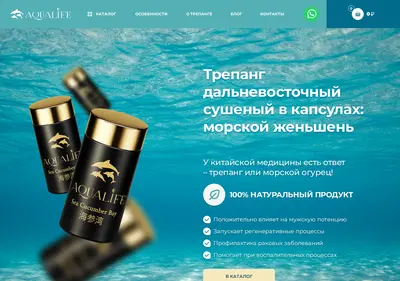 Снимок главной страницы aqualife25.ru