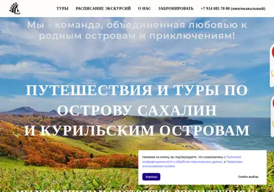 Снимок главной страницы anivatour.ru