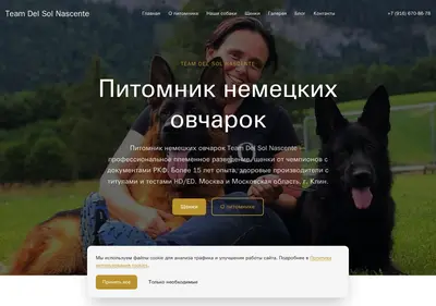 Снимок главной страницы best-shepherds.ru