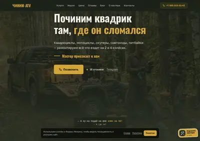Снимок главной страницы chinim-atv.ru