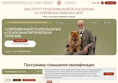 Снимок главной страницы berginstitute.ru