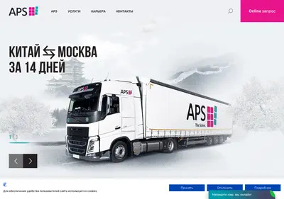 Снимок главной страницы aps-solver.ru