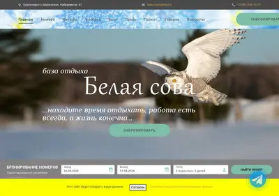 Снимок главной страницы belsova.ru