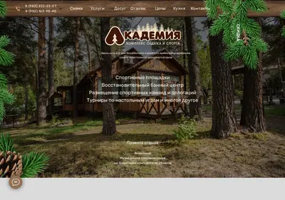 Снимок главной страницы akadem-otel.ru