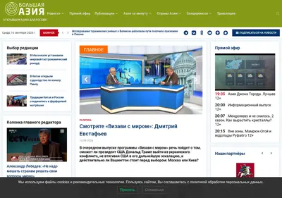 Снимок главной страницы bigasia.ru
