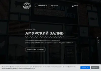 Снимок главной страницы amurbay.ru