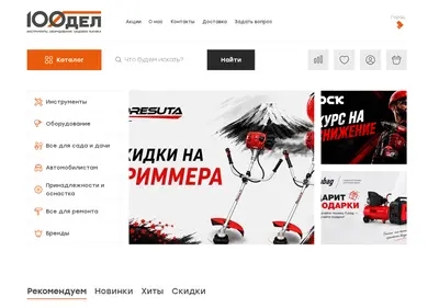 Снимок главной страницы 100del.ru