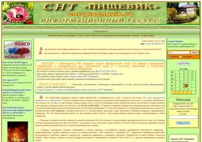 Снимок главной страницы cnt-pischevik.ru