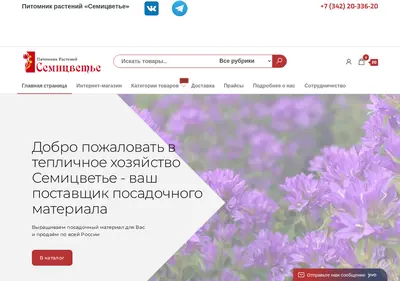 Снимок главной страницы 7cvetie.ru