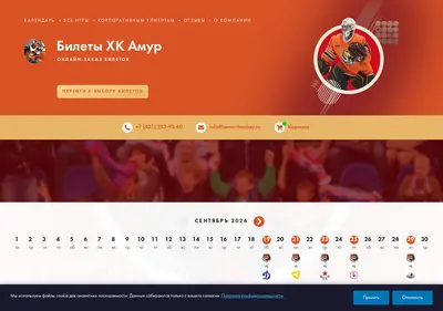 Снимок главной страницы amur-hockey.ru