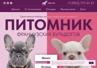 Снимок главной страницы bulldozhka.ru