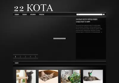 Снимок главной страницы 22kota.ru