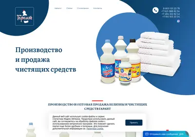 Снимок главной страницы belizna-garant.ru