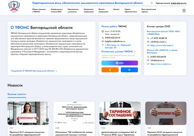 Снимок главной страницы belfoms.ru