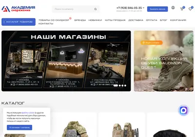Снимок главной страницы academygear.ru
