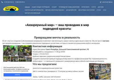 Снимок главной страницы am33.ru