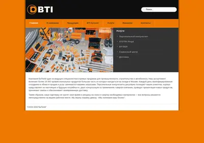 Снимок главной страницы btirus.ru